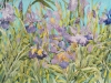 Japanese Irises in the Garden
